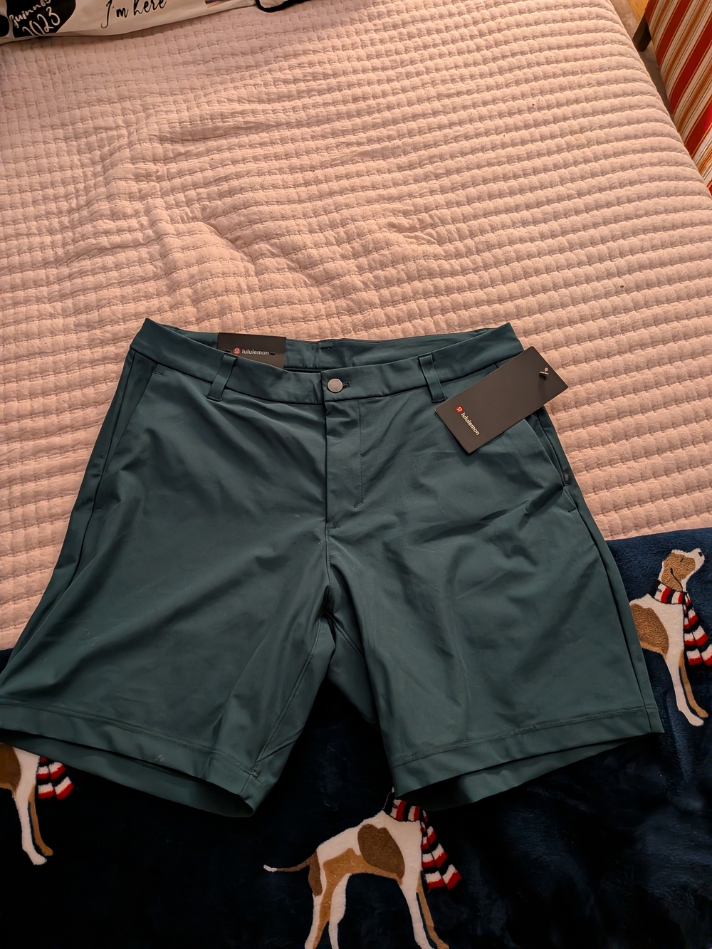 lululemon athletica Men's Teal Performance Shorts